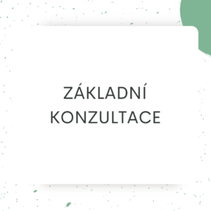 Základní konzultace